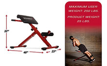 Load image into Gallery viewer, Stamina X Hyper Bench - Smart Workout App, No Subscription Required - Hyperextension and Core Strengthening Station