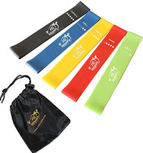 Load image into Gallery viewer, Fit Simplify Resistance Loop Exercise Bands with Instruction Guide and Carry Bag, Set of 5