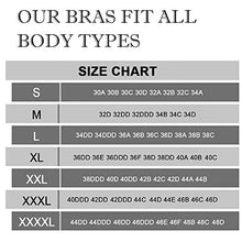 Load image into Gallery viewer, Womens Sports Bras, Yoga Comfort Seamless Stretchy Sports Bra for Women 3 Pack
