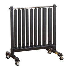 Load image into Gallery viewer, Body Solid Tools Commercial Vinyl Dumbbell Package Weight Rack Set - The Home Fitness Corp