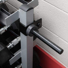 Load image into Gallery viewer, Dumbell Rack Plate Horn Attachment Storage Rack - The Home Fitness Corp