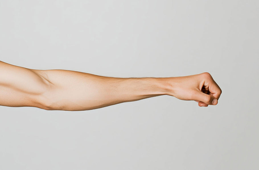 The Best Gym Exercises for Increased Forearm and Wrist Strength | Tips and Tricks