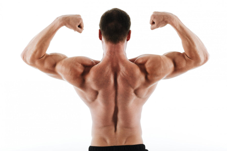 The Best Exercises for Stronger and Bigger Shoulders | Tips and Tricks