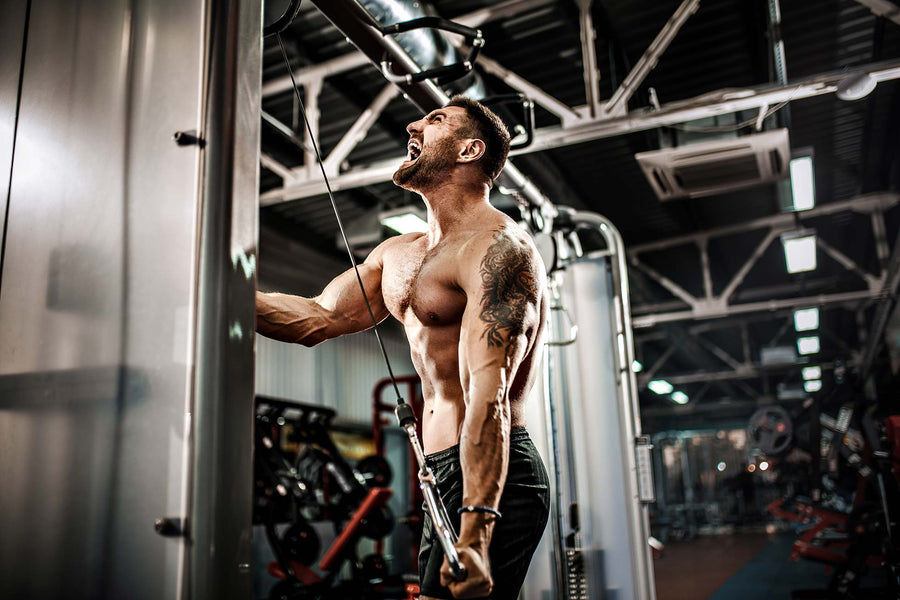 Gym Cable Machines | The Ultimate Guide to Getting Fit with Cable Trainers